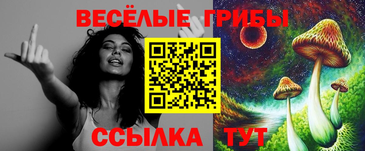 Псилоцибиновые грибы Cubensis  Псилоцибиновые грибы Cubensis  даркнет сайт  Алейск  Вход с VPN 