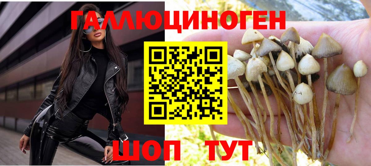 Галлюциногенные грибы ЛСД Алейск